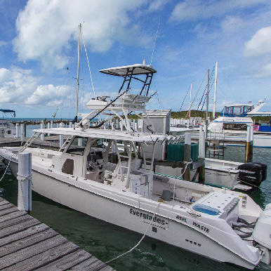 Nice boat at The dock