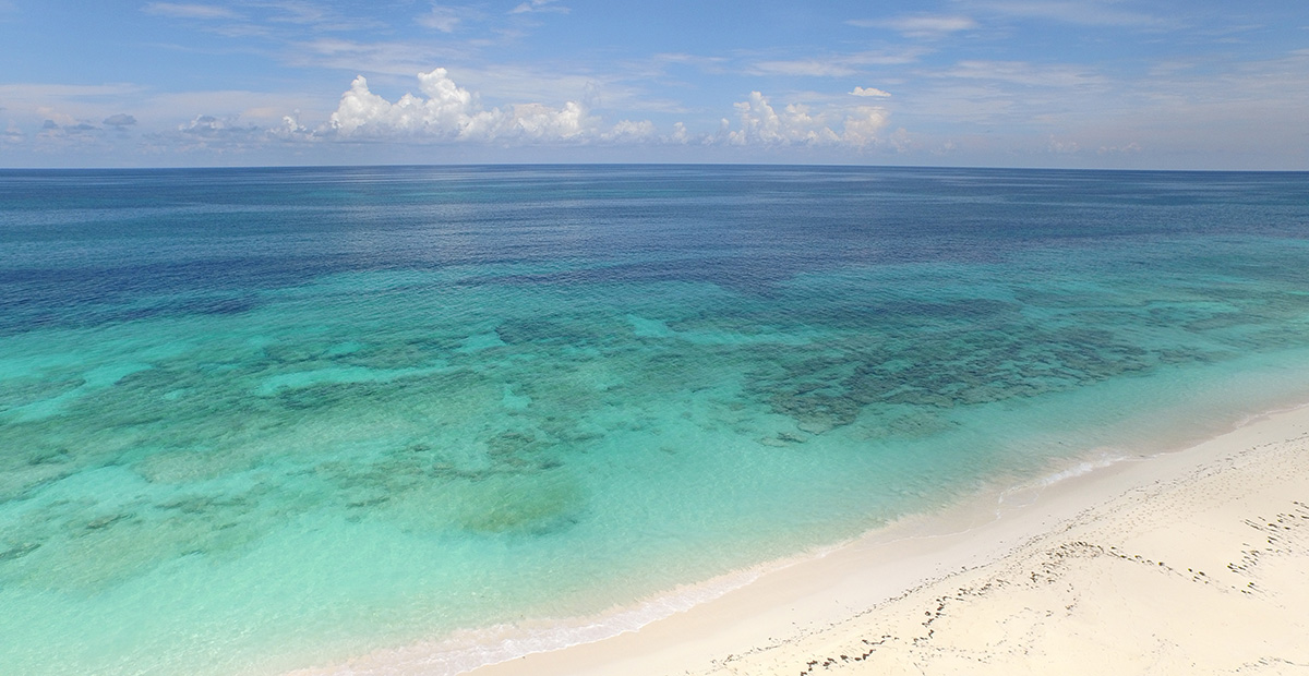 Crystal clear waters by the beach of Orchid Bay